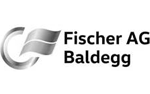 fischer-baldegg