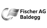 fischer-baldegg